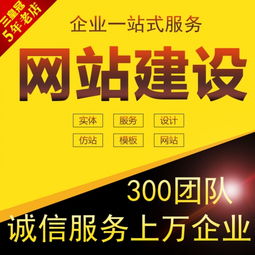 网站建设分类信息门户类企业类定制网站开发设计网页设计 百通猫