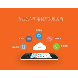 软件开发 app定制开发 小程序开发 商城 官网制作